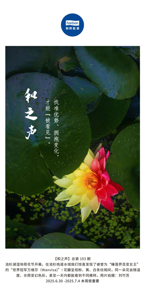 【和之声】找准优势、拥抱变动，能力“被看见”。(总第193期）--2025.6中文导出季度推送用.jpg