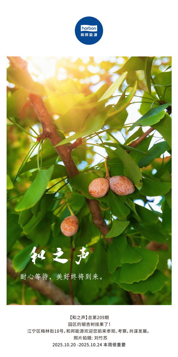 【和之声】耐心期待，美好终将到来。-(总第209期）2025.10.20中文导出季度推送用.jpg